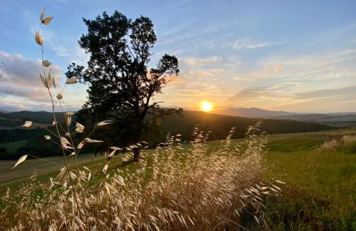 Agriturismo L'Antica Quercia - Foto 19
