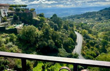 Bodeguita del Tiétar - Foto 52