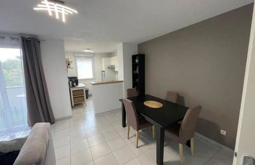 Cosy 3 Pièces Toulouse Jean Chaubet - 4-5 Pers - Foto 3