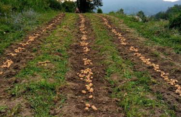 Agriturismo Giandriale - Foto 22