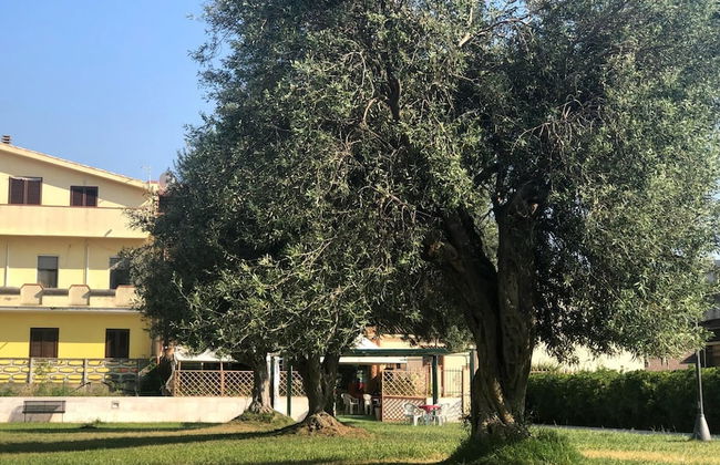 Welcomely - Casa del Minatore 2 - Foto 23