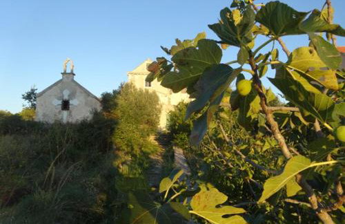 D HOUSE authentic Zlarin house, relaxing courtyard and terrace - Photo 31