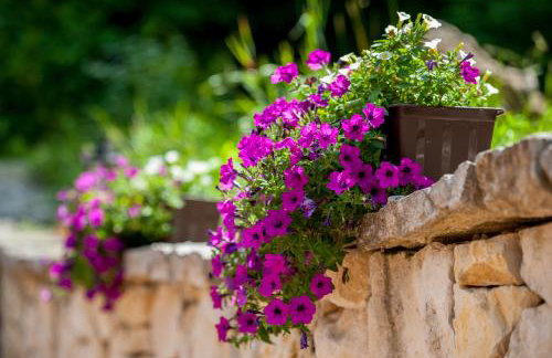 Ranczo Czerwony Młyn & Spa - Foto 27