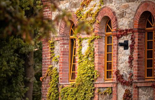 TinyHousebeiDresden in absoluter Alleinlage direkt am Naturteich große Terrasse Grill und Kaminofen Juni - September Mindestmietzeit 1 Woche Sa- Sa - Foto 19