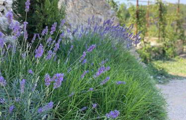 La Maison de Léo - Foto 27