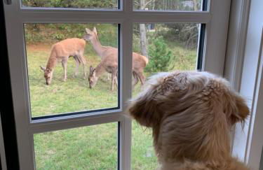 Ferienwohnung HYGGELIG - Göttingen Harz Duderstadt - Foto 12