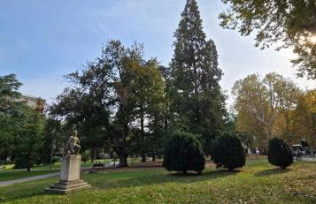 Jungle Sunshine Apartment - Foto 55