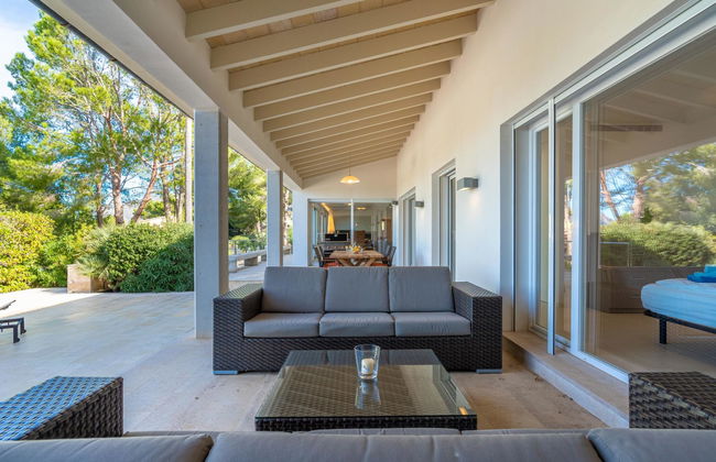 Orquidea 34 - Photo 2