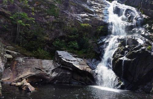 Casa Ipê Rosa - Photo 11