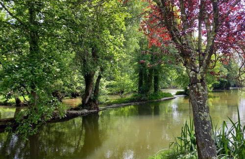 Détente assurée au moulin de papalis - Foto 14
