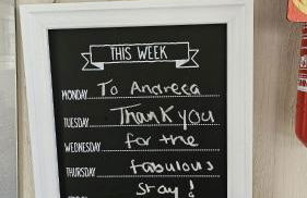 Pura Vida Caravan - Foto 12