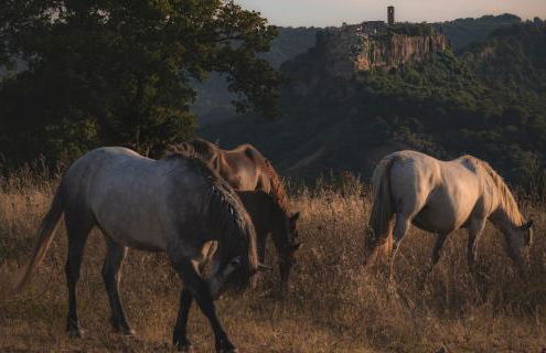 Your charm place with stunning view - Foto 10