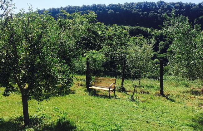 Bio Agriturismo Valle dei Calanchi - Foto 62