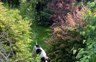 Barnacle Barn, North Norfolk - Foto 54