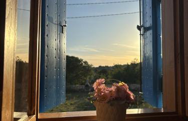 Holiday Home Cherry with pool - Photo 18