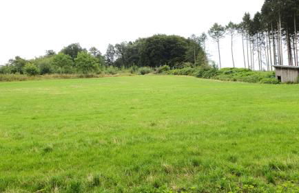 FeWo Harling - Waldoase - Foto 23