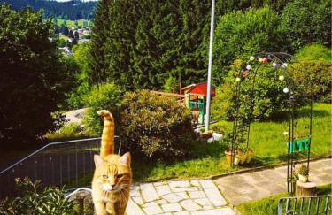 Klein Waldseele - Foto 3