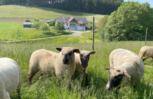 BodenSEE Apartment Neukirch Goppertsweiler HASE - Foto 4