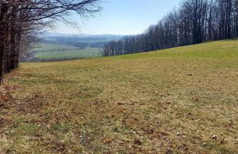Ferienhof mit Bergblick - Foto 9