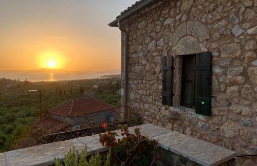 PositiveSpace Olive Tree - Foto 31