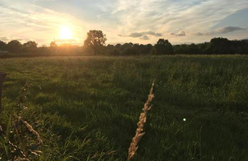 Craigs Rock Cottage Cookstown - Foto 20