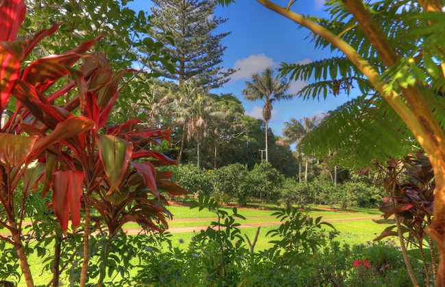 Hideaway Retreat - Foto 40