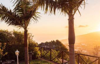 Casa dos Avos - Photo 31