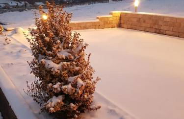 Fewo "Elsa" Reichmannsdorf - Brötchenservice - Foto 44