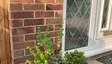 Cheerful 3 bedroom property set in the countryside - Foto 3