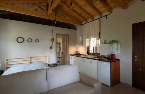 Nerium - Golden Fig Sykia lodge - Foto 11