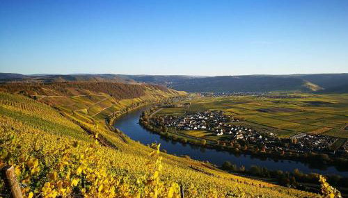 Wein- u. Gästehaus St. Maximin - Foto 4