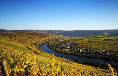 Wein- u. Gästehaus St. Maximin - Foto 4