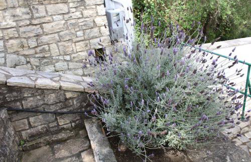 Paxos Rock Apartments - Foto 70