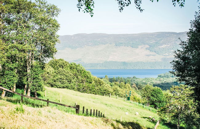 Achmony Number 11 - Foto 21