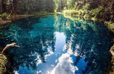 Cottage near Corfe & Jurassic Coast - Foto 64