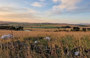 Woodland Lodge - Foto 11