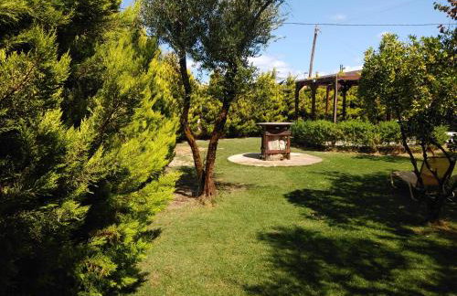 The Santo George Beach Resort - Foto 28