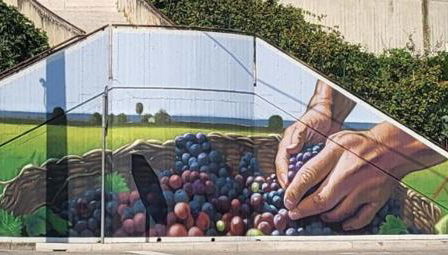 la casetta del borgo - Photo 2