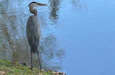 Unwind Island - Photo 28