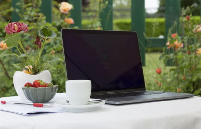 White Tail Organic Farm - Photo 25