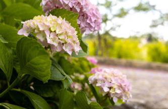 Quinta O Refúgio - Foto 38