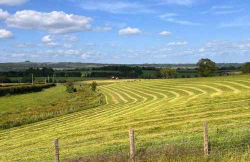 Williamsfield Cottage - Foto 37