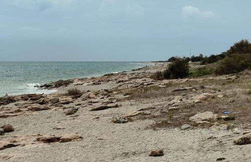 Spacious and luxurious apartment - Foto 34