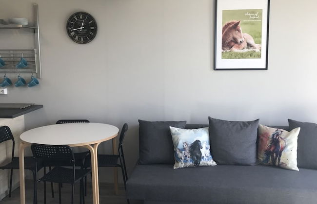 Sólvangur Farm, Icelandic Horse Center - Photo 6