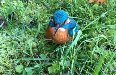 Maison Moulin Bousset - Foto 39