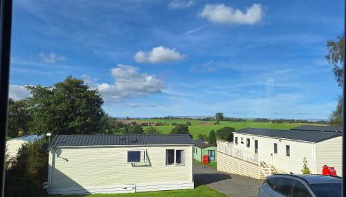 The Hummingbird - Photo 5