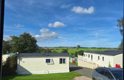 The Hummingbird - Photo 5