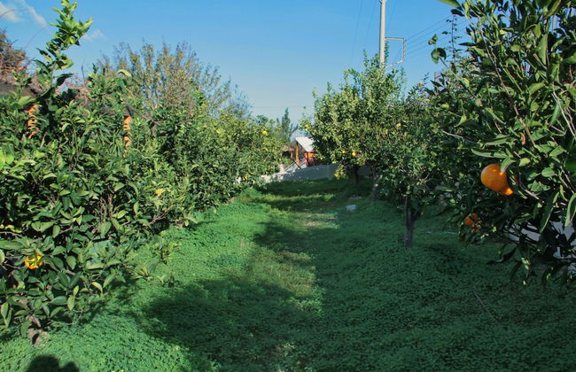 Villa Metaxas - Foto 68