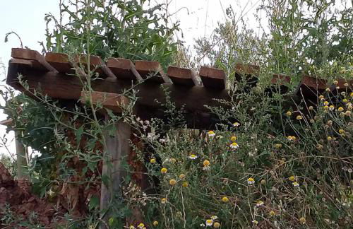 Les Valletes - Foto 69