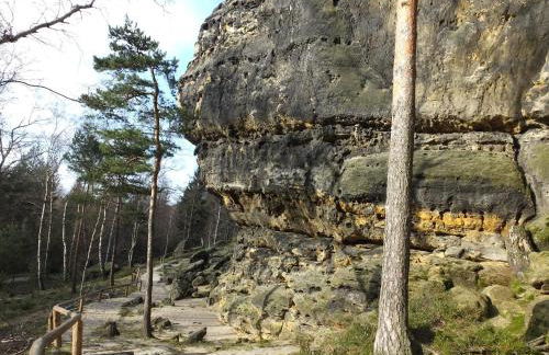 Waldhaus Bielatal - Foto 30